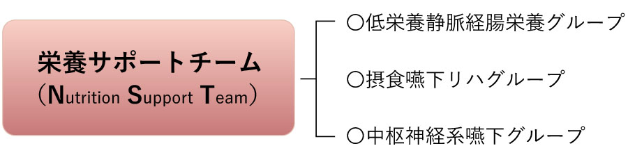 栄養サポートチームの概要